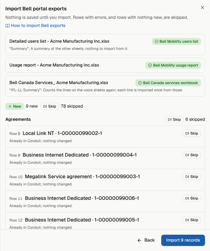 Step 2: the preview of a newer usage report. One new month is added and everything already imported is skipped.